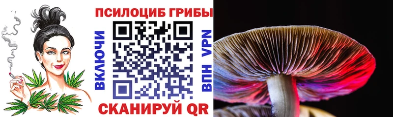 как найти закладки  Выборг  Псилоцибиновые грибы ЛСД 